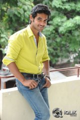 Aadi Pyaar Mein Padipoyane Press Meet Photos